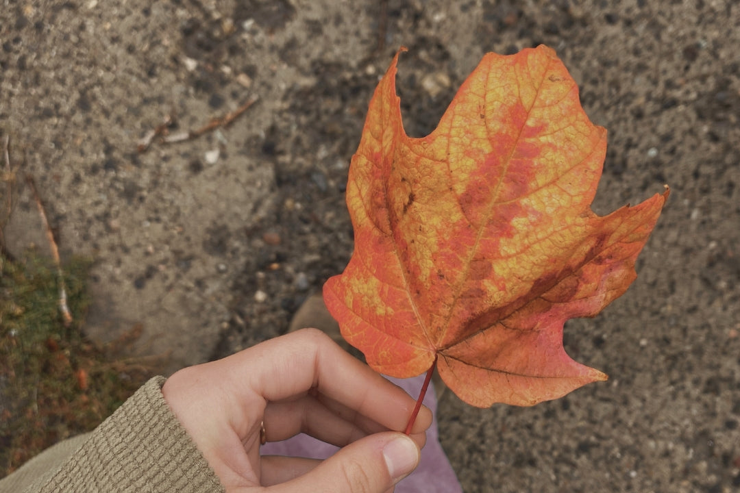 Warum der Herbst Selfcare-Zeit ist